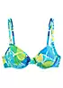 Sunseeker Butterfly Print Underwired Bikini Top